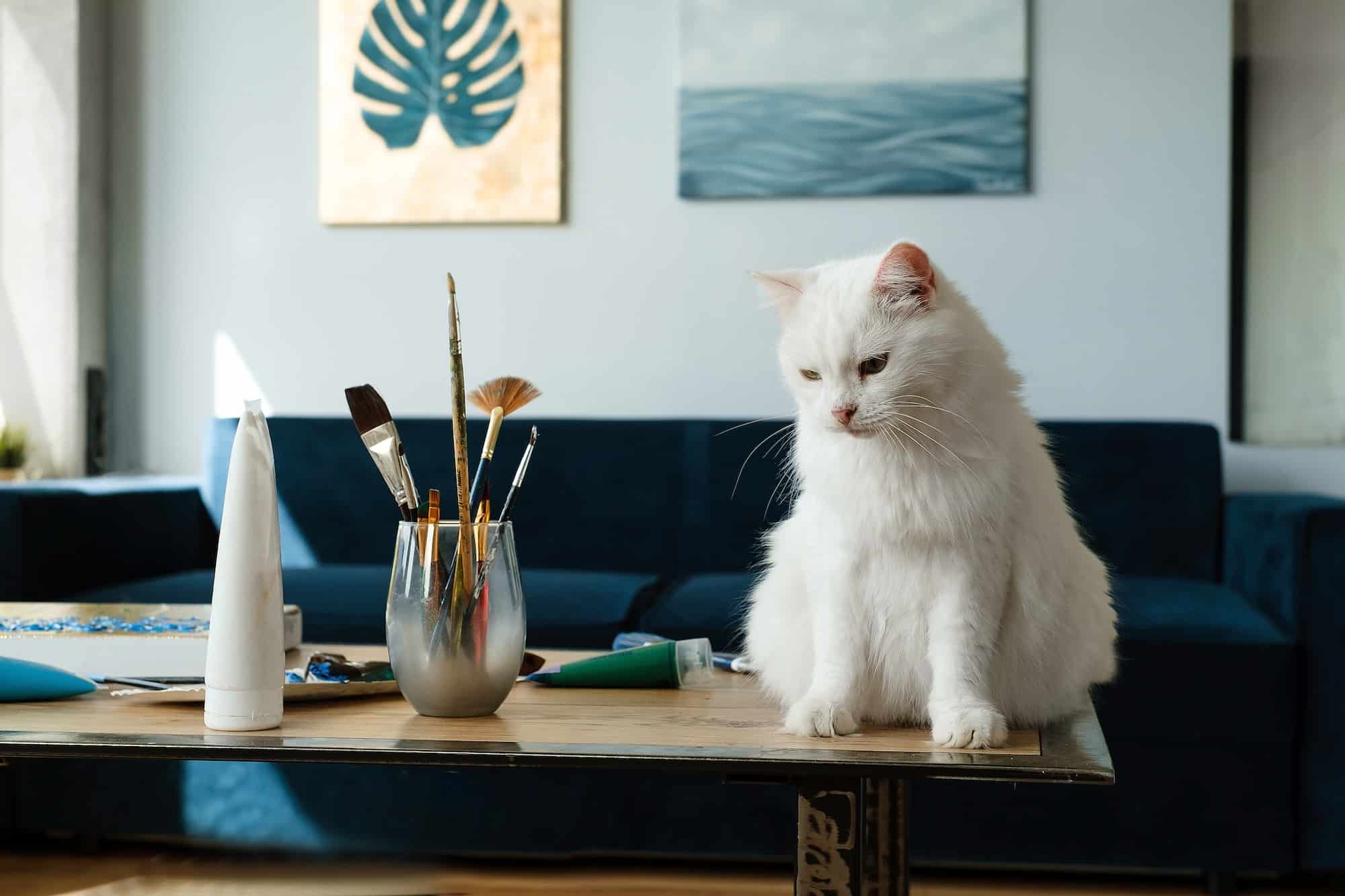 White cat sitting on the table near paintbrushes